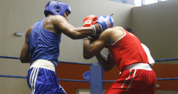 Boxe - Tournoi interîles à Rodrigues : L’organisation en bonne voie