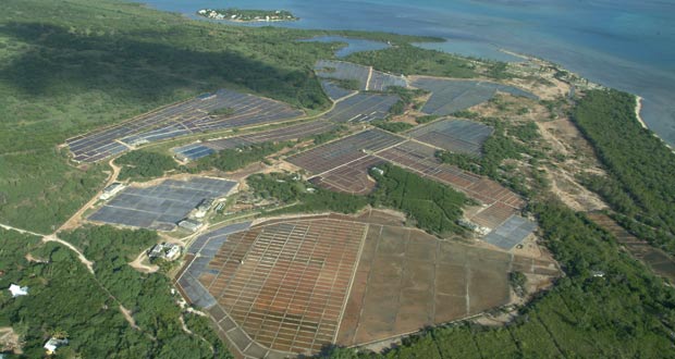 Rivière-Noire : Une route d’accès à dix projets hôteliers construite