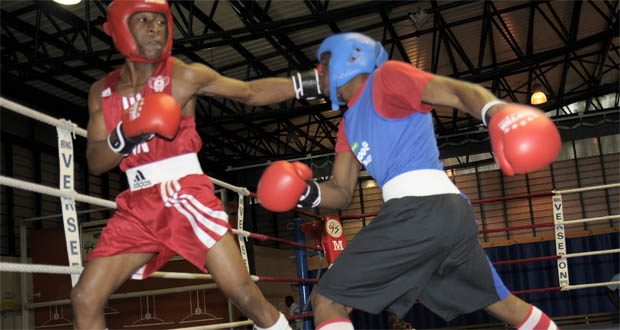 Boxe - Bourse de perfectionnement à Nancy : Richarno Colin est bien arrivé au CREPS
