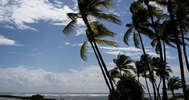 71 000 foyers privés d'électricité en raison de délestages liés à une nouvelle grève