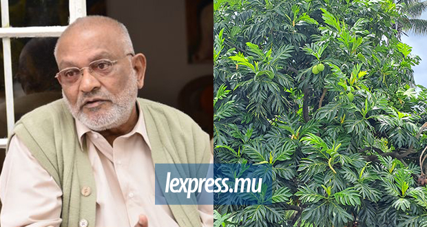 Dernier conseil : «Met enn pie friyapin sak kote simin, li pou fini par nouri popilasion moris»