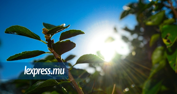 Weather: Nice Weather During the Day, Cool Temperatures in the Heights at Night