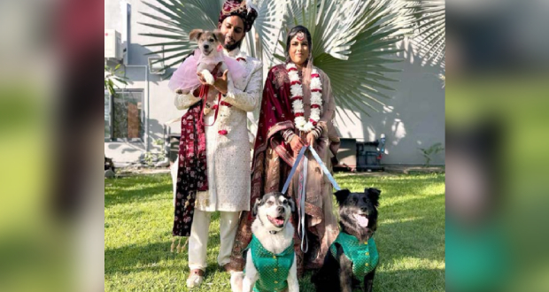 Quel bonheur avec leurs toutous d'honneur, Tibou, Milou et Louna !